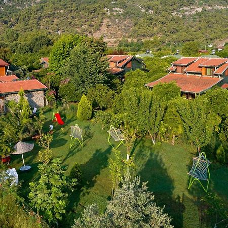 Flora Pansiyon Cirali Apartment Kemer Exterior foto