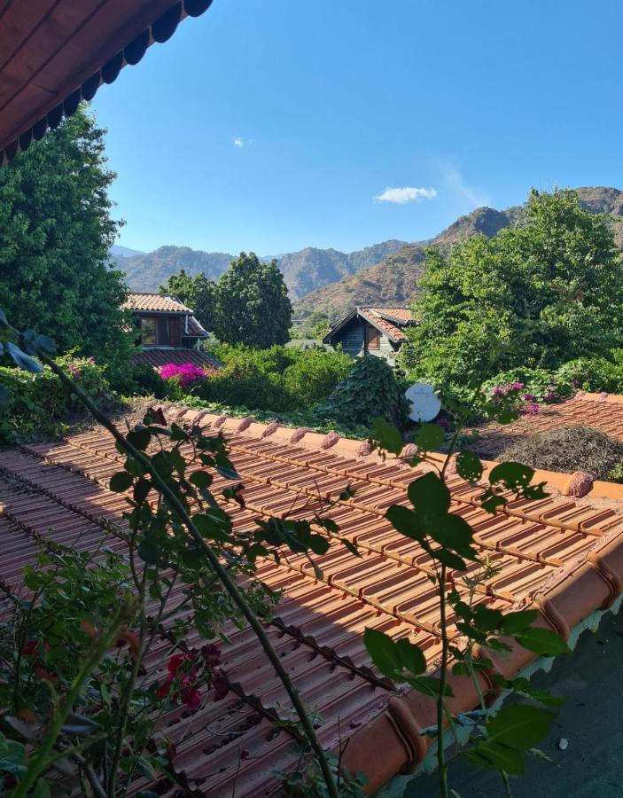 Flora Pansiyon Cirali Apartment Kemer Exterior foto