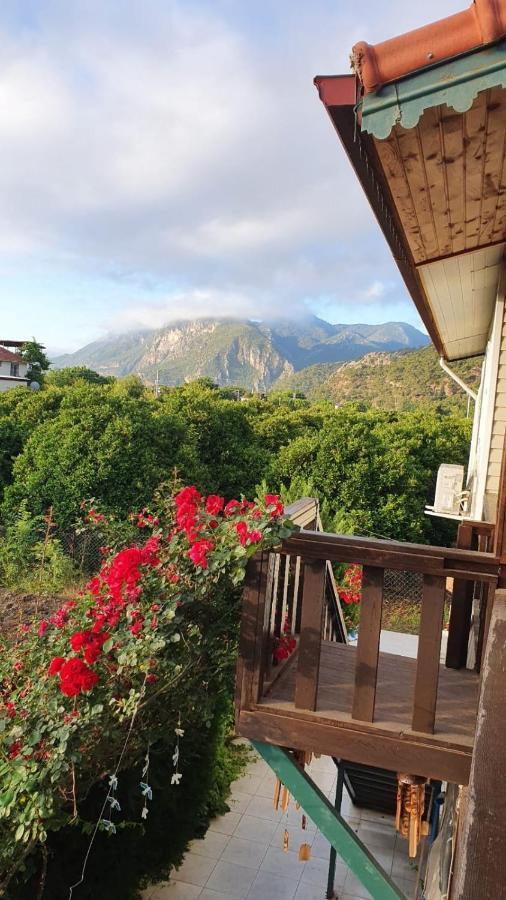 Flora Pansiyon Cirali Apartment Kemer Exterior foto