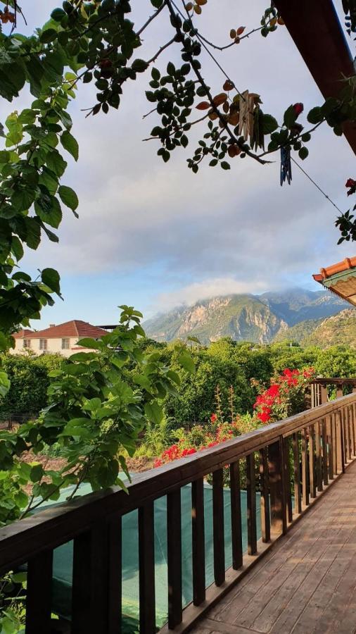 Flora Pansiyon Cirali Apartment Kemer Exterior foto