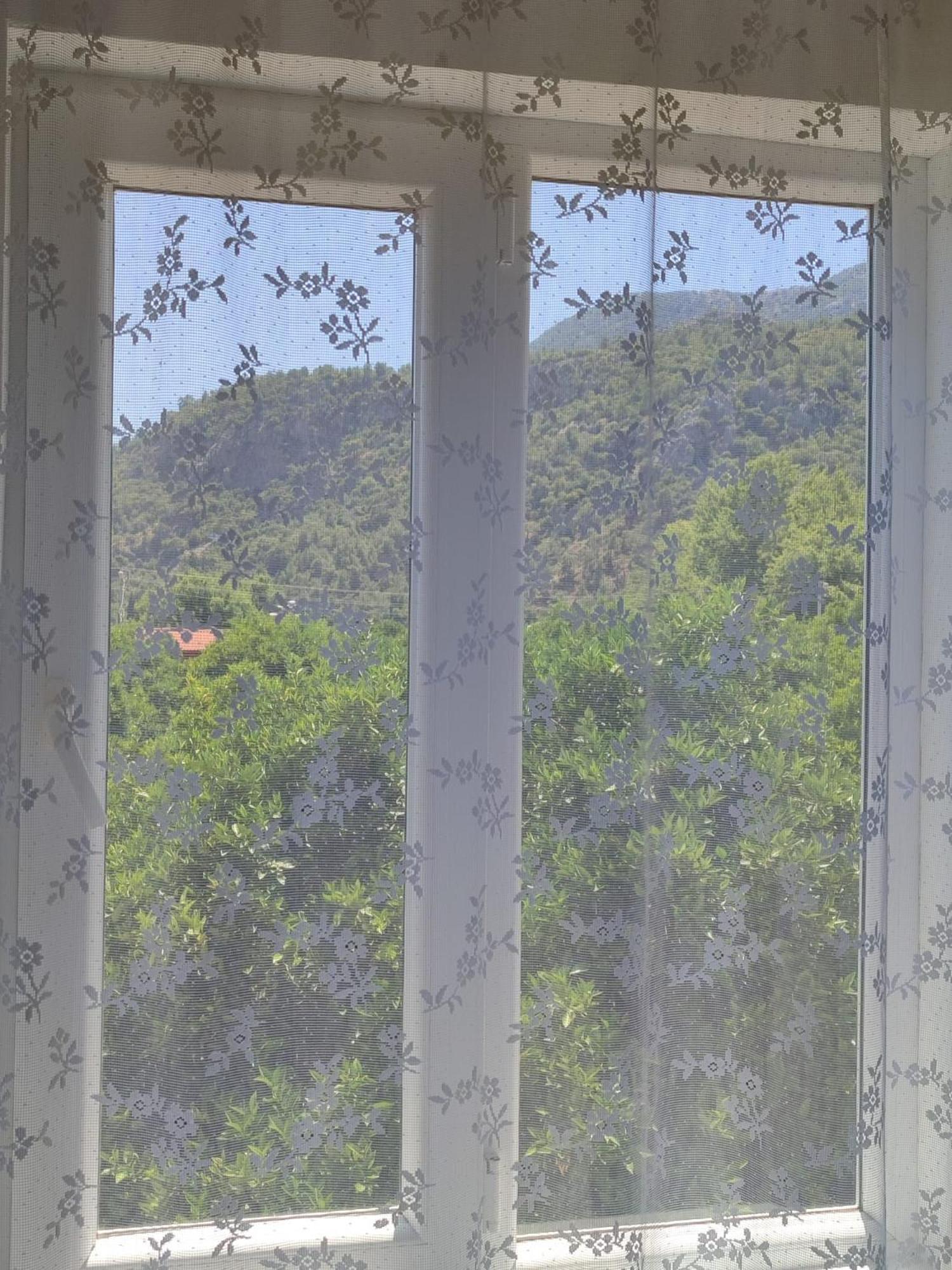 Flora Pansiyon Cirali Apartment Kemer Exterior foto